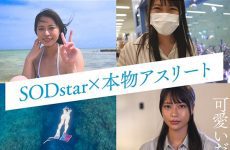 Stars-446 First-class Swimmer Momo Aoki Libido Liberation Traveler