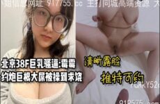 SONEE-1217 Watch free Chinese AV