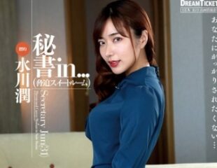 VDD-186 Secretary In... (Threatening Suite Room) Mizukawa Jun