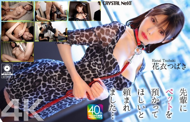 CRNX-254 [4k] My Senior Asked Me To Take Care Of His Pet… Tsubaki Hanagoromo