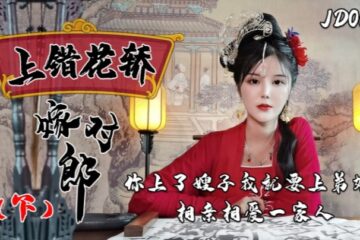 Xiao Nan JD067 Wrong Carriage