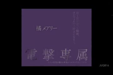 AI-Zhuang Dafei-Cheating Neighbor