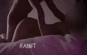 I love being bullied by my brother like this - rabbit