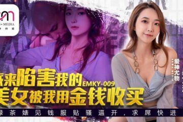 The beautiful woman Wu Wenqi sent to frame by me.