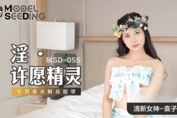Yuan Ziyi MSD055 Wish Fairy